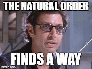 Jeff Goldblum | THE NATURAL ORDER; FINDS A WAY | image tagged in jeff goldblum | made w/ Imgflip meme maker