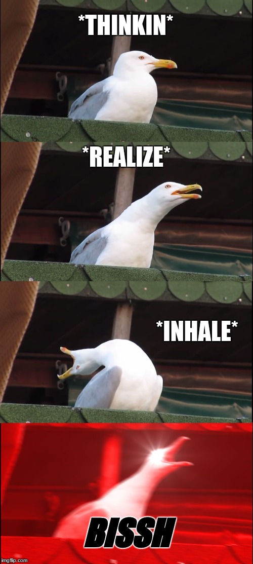 Inhaling Seagull | *THINKIN*; *REALIZE*; *INHALE*; BISSH | image tagged in memes,inhaling seagull | made w/ Imgflip meme maker