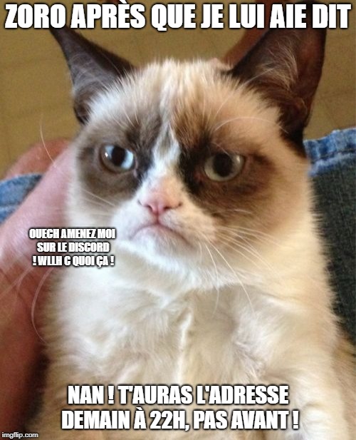 Grumpy Cat Meme | ZORO APRÈS QUE JE LUI AIE DIT; OUECH AMENEZ MOI SUR LE DISCORD ! WLLH C QUOI ÇA ! NAN ! T'AURAS L'ADRESSE DEMAIN À 22H, PAS AVANT ! | image tagged in memes,grumpy cat | made w/ Imgflip meme maker