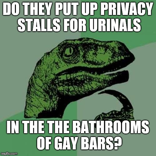 Wouldn't make sense to put up stalls in the bar of a gay bathroom would it? | DO THEY PUT UP PRIVACY STALLS FOR URINALS; IN THE THE BATHROOMS OF GAY BARS? | image tagged in memes,philosoraptor | made w/ Imgflip meme maker
