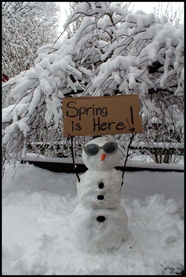 High Quality Spring snowman Blank Meme Template