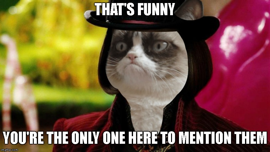 Wonka Grumpy Cat | THAT'S FUNNY YOU'RE THE ONLY ONE HERE TO MENTION THEM | image tagged in wonka grumpy cat | made w/ Imgflip meme maker