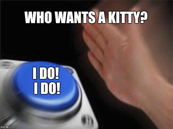 Blank Nut Button | WHO WANTS A KITTY? I DO! I DO! | image tagged in memes,blank nut button | made w/ Imgflip meme maker