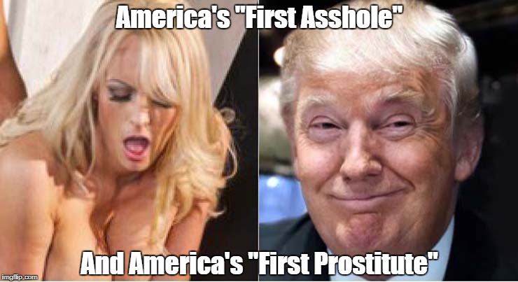 Image result for "pax on both houses" stormy daniels