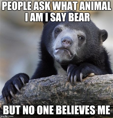Confession Bear | PEOPLE ASK WHAT ANIMAL I AM I SAY BEAR; BUT NO ONE BELIEVES ME | image tagged in memes,confession bear | made w/ Imgflip meme maker