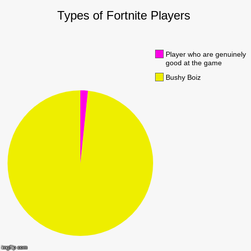 Types of Fortnite Players | Bushy Boiz, Player who are genuinely good at the game | image tagged in funny,pie charts | made w/ Imgflip chart maker