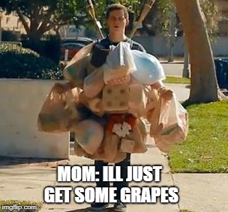 Groceries | MOM: ILL JUST GET SOME GRAPES | image tagged in groceries | made w/ Imgflip meme maker