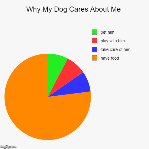 Why My Dog Cares About Me | I have food, I take care of him, I play with him, I pet him | image tagged in funny,pie charts | made w/ Imgflip chart maker