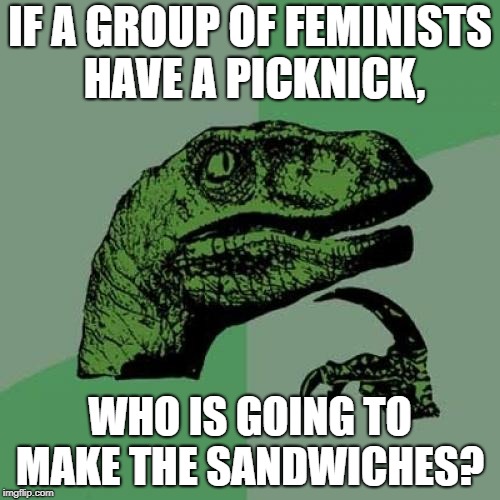 Philosoraptor | IF A GROUP OF FEMINISTS HAVE A PICKNICK, WHO IS GOING TO MAKE THE SANDWICHES? | image tagged in memes,philosoraptor,funny,feminism,feminist picknick,making sandwiches | made w/ Imgflip meme maker