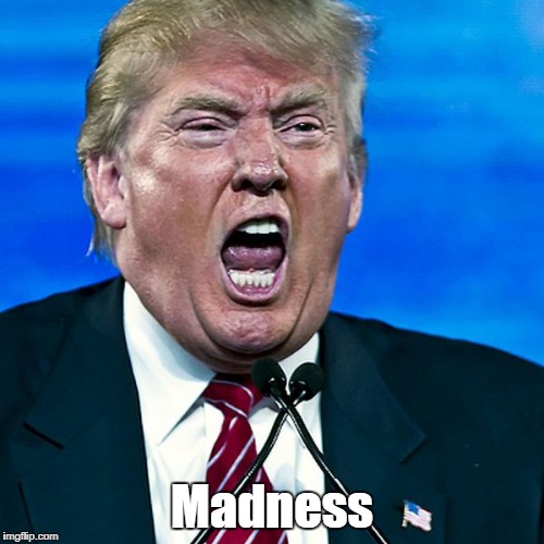 Madness | made w/ Imgflip meme maker