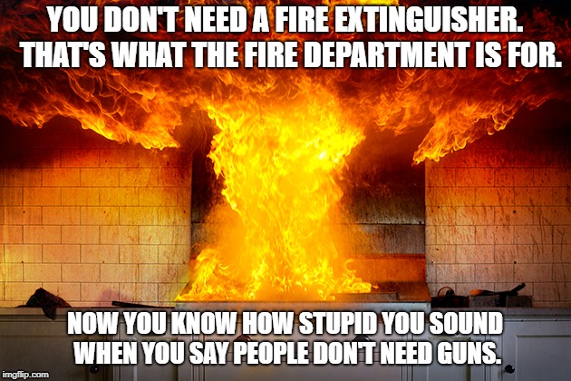 You don't need a Fire Extinguisher | YOU DON'T NEED A FIRE EXTINGUISHER.  THAT'S WHAT THE FIRE DEPARTMENT IS FOR. NOW YOU KNOW HOW STUPID YOU SOUND WHEN YOU SAY PEOPLE DON'T NEED GUNS. | image tagged in gun control,ar15 | made w/ Imgflip meme maker