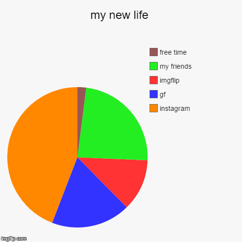 my new life | instagram, gf, imgflip, my friends  , free time | image tagged in funny,pie charts | made w/ Imgflip chart maker