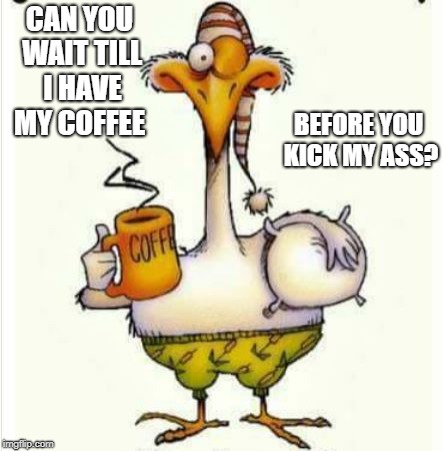 morning | CAN YOU WAIT TILL I HAVE MY COFFEE BEFORE YOU KICK MY ASS? | image tagged in morning | made w/ Imgflip meme maker