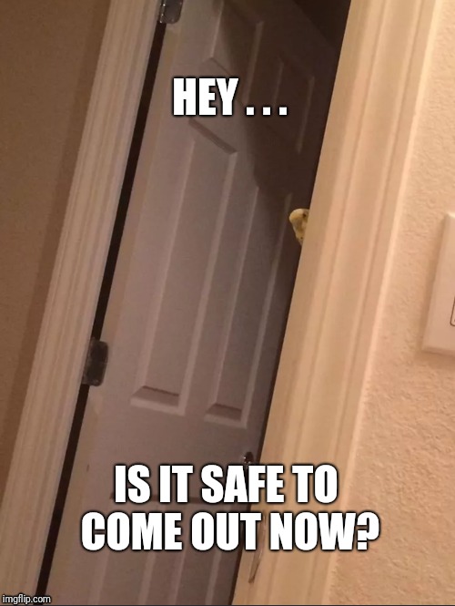 Is it safe? | HEY . . . IS IT SAFE TO COME OUT NOW? | image tagged in birb,open door,memes | made w/ Imgflip meme maker