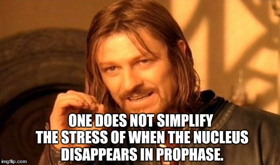 One Does Not Simply | ONE DOES NOT SIMPLIFY THE STRESS OF WHEN
THE NUCLEUS DISAPPEARS IN PROPHASE. | image tagged in memes,one does not simply | made w/ Imgflip meme maker