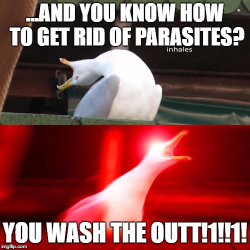 inhaling bird meme | ...AND YOU KNOW HOW TO GET RID OF PARASITES? YOU WASH THE OUTT!1!!1! | image tagged in inhaling bird meme | made w/ Imgflip meme maker