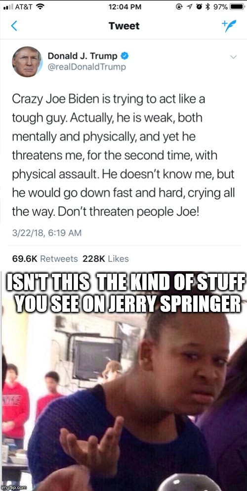 You're a cyberbully. I'll return to my safe space now. | ISN'T THIS  THE KIND OF STUFF YOU SEE ON JERRY SPRINGER | image tagged in trump tweet,memes,political meme | made w/ Imgflip meme maker