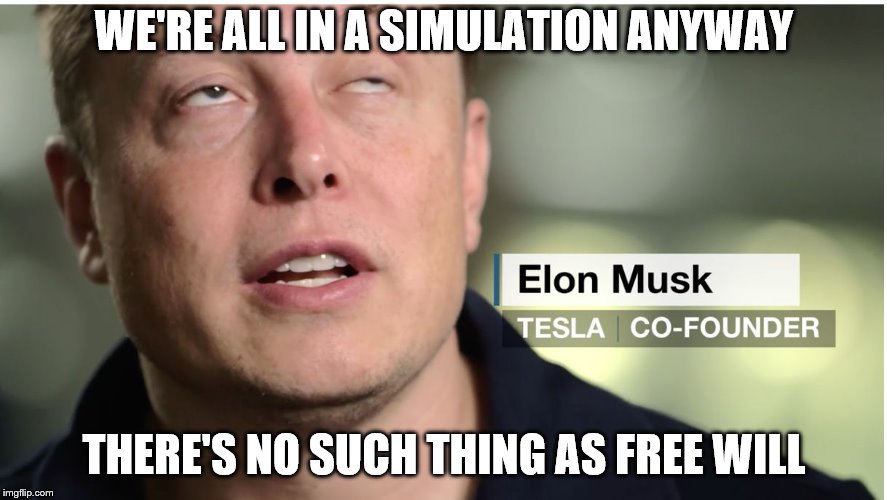 Elon musk | WE'RE ALL IN A SIMULATION ANYWAY; THERE'S NO SUCH THING AS FREE WILL | image tagged in elon musk | made w/ Imgflip meme maker