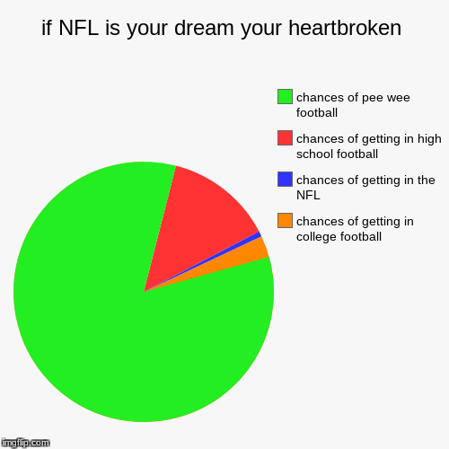 if NFL is your dream your heartbroken | chances of getting in college football, chances of getting in the NFL, chances of getting in high sc | image tagged in funny,pie charts | made w/ Imgflip chart maker