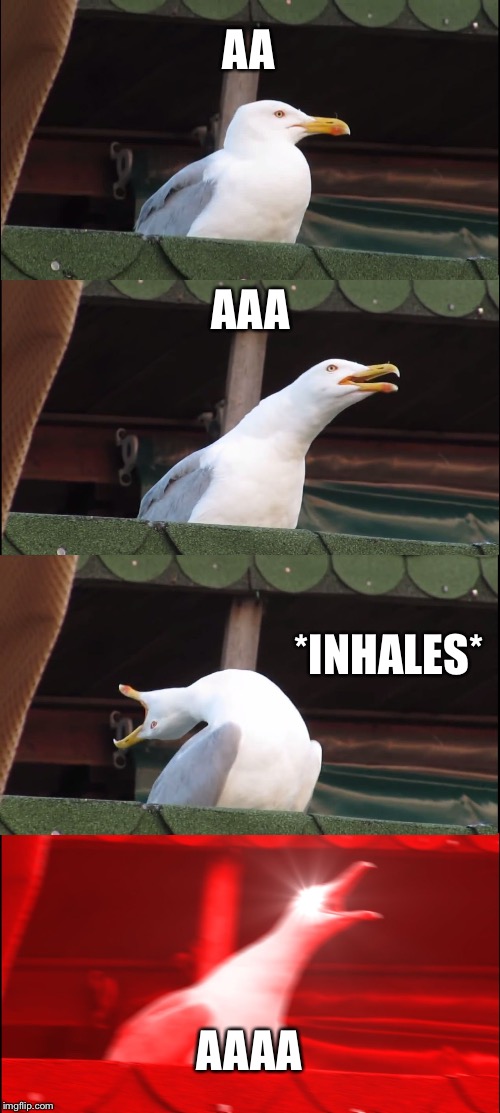 Inhaling Seagull Meme | AA; AAA; *INHALES*; AAAA | image tagged in memes,inhaling seagull | made w/ Imgflip meme maker