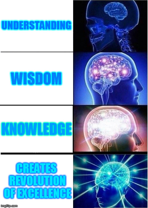 Expanding Brain Meme | UNDERSTANDING; WISDOM; KNOWLEDGE; CREATES REVOLUTION OF EXCELLENCE | image tagged in memes,expanding brain | made w/ Imgflip meme maker