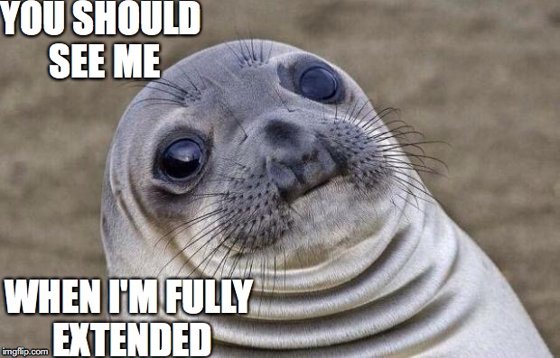 Awkward Moment Sealion Meme | YOU SHOULD SEE ME; WHEN I'M FULLY EXTENDED | image tagged in memes,awkward moment sealion | made w/ Imgflip meme maker