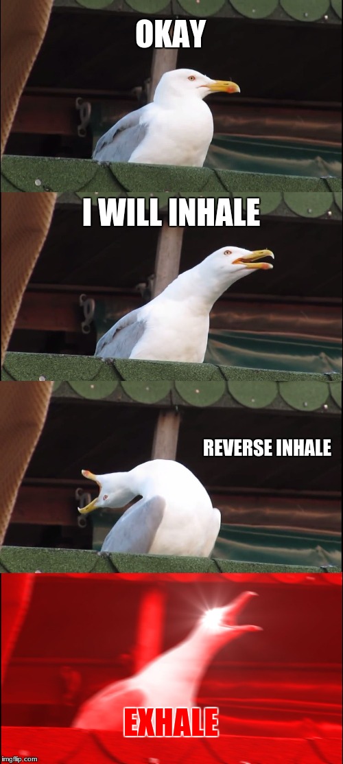Inhaling Seagull Meme | OKAY; I WILL INHALE; REVERSE INHALE; EXHALE | image tagged in memes,inhaling seagull | made w/ Imgflip meme maker