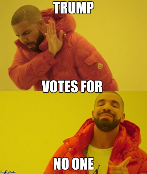 Drake | TRUMP; VOTES FOR; NO ONE | image tagged in drake | made w/ Imgflip meme maker