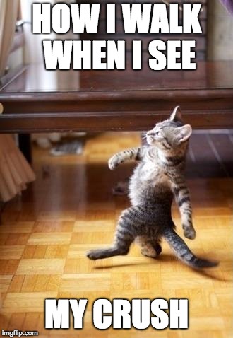 Cool Cat Stroll | HOW I WALK WHEN I SEE; MY CRUSH | image tagged in memes,cool cat stroll | made w/ Imgflip meme maker