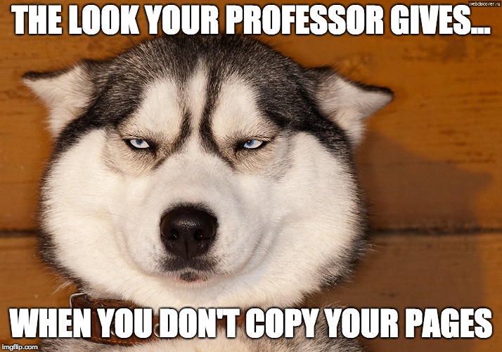 Not Amused | THE LOOK YOUR PROFESSOR GIVES... WHEN YOU DON'T COPY YOUR PAGES | image tagged in not amused | made w/ Imgflip meme maker