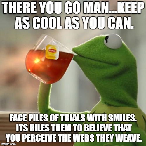 But That's None Of My Business Meme | THERE YOU GO MAN...KEEP AS COOL AS YOU CAN. FACE PILES OF TRIALS WITH SMILES. ITS RILES THEM TO BELIEVE THAT YOU PERCEIVE THE WEBS THEY WEAVE. | image tagged in memes,but thats none of my business,kermit the frog | made w/ Imgflip meme maker