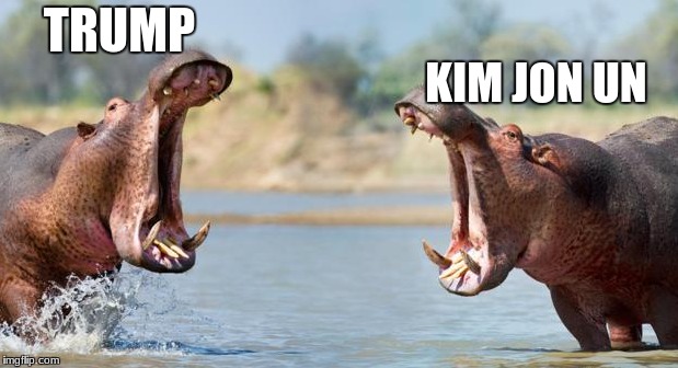 Leader Fights | TRUMP; KIM JON UN | image tagged in hippo,fight,leader,trump,kim jong un | made w/ Imgflip meme maker