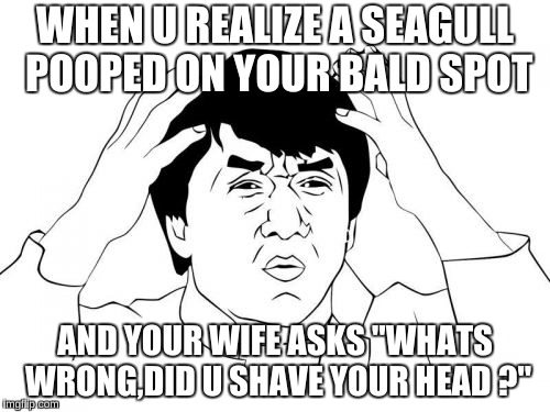 Jackie Chan WTF | WHEN U REALIZE A SEAGULL POOPED ON YOUR BALD SPOT; AND YOUR WIFE ASKS "WHATS WRONG,DID U SHAVE YOUR HEAD ?" | image tagged in memes,jackie chan wtf | made w/ Imgflip meme maker