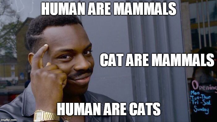 Roll Safe Think About It | HUMAN ARE MAMMALS; CAT ARE MAMMALS; HUMAN ARE CATS | image tagged in memes,roll safe think about it | made w/ Imgflip meme maker