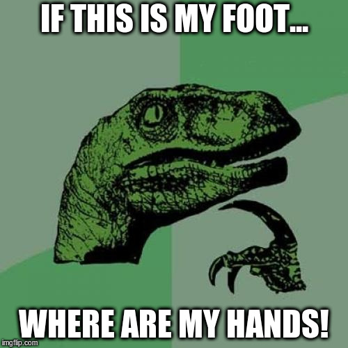 Philosoraptor Meme | IF THIS IS MY FOOT... WHERE ARE MY HANDS! | image tagged in memes,philosoraptor | made w/ Imgflip meme maker