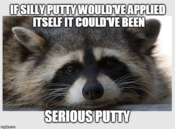 Seriously folks... | IF SILLY PUTTY WOULD'VE APPLIED ITSELF IT COULD'VE BEEN; SERIOUS PUTTY | image tagged in silly putty,lame pun coon,raccoon | made w/ Imgflip meme maker