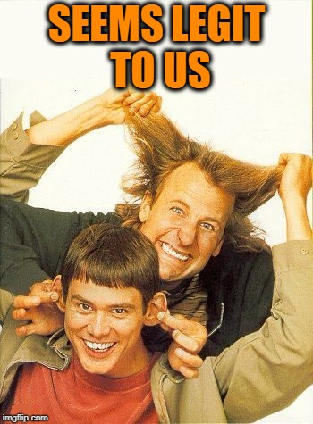 DUMB and dumber | SEEMS LEGIT TO US | image tagged in dumb and dumber | made w/ Imgflip meme maker