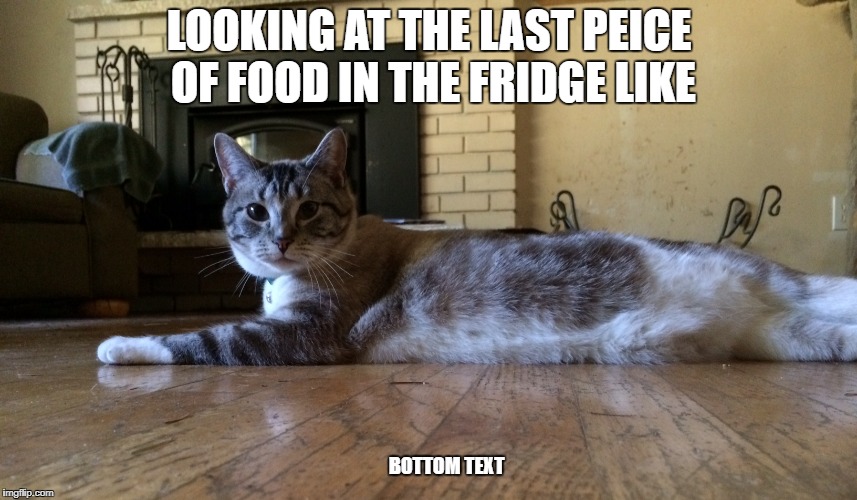Food | LOOKING AT THE LAST PEICE OF FOOD IN THE FRIDGE LIKE; B0TT0M TEXT | image tagged in bottom text,funny,memes,good memes,i want to die,lol | made w/ Imgflip meme maker