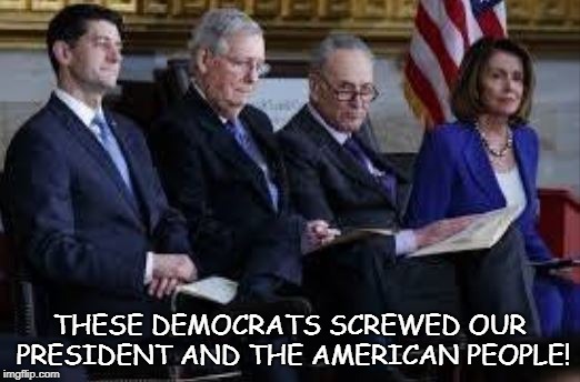these democrats | THESE DEMOCRATS SCREWED OUR PRESIDENT AND THE AMERICAN PEOPLE! | image tagged in nancy pelosi | made w/ Imgflip meme maker