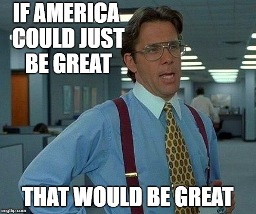 That Would Be Great Meme | IF AMERICA COULD JUST BE GREAT; THAT WOULD BE GREAT | image tagged in memes,that would be great | made w/ Imgflip meme maker