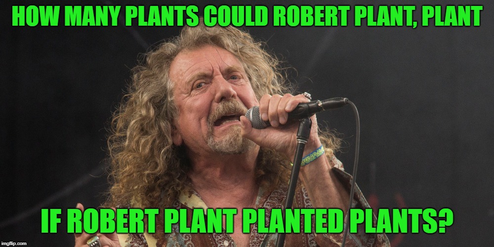 Robert Plant | HOW MANY PLANTS COULD ROBERT PLANT, PLANT; IF ROBERT PLANT PLANTED PLANTS? | image tagged in funny memes,robert plant,led zeppelin | made w/ Imgflip meme maker