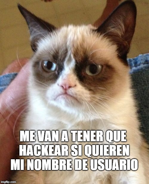 Grumpy Cat Meme | ME VAN A TENER QUE HACKEAR SI QUIEREN MI NOMBRE DE USUARIO | image tagged in memes,grumpy cat | made w/ Imgflip meme maker