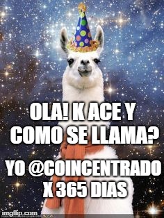 Happy Birthday Alpaca | OLA! K ACE Y COMO SE LLAMA? YO @COINCENTRADO X 365 DIAS | image tagged in happy birthday alpaca | made w/ Imgflip meme maker