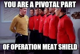 star trek | YOU ARE A PIVOTAL PART; OF OPERATION MEAT SHIELD | image tagged in star trek | made w/ Imgflip meme maker