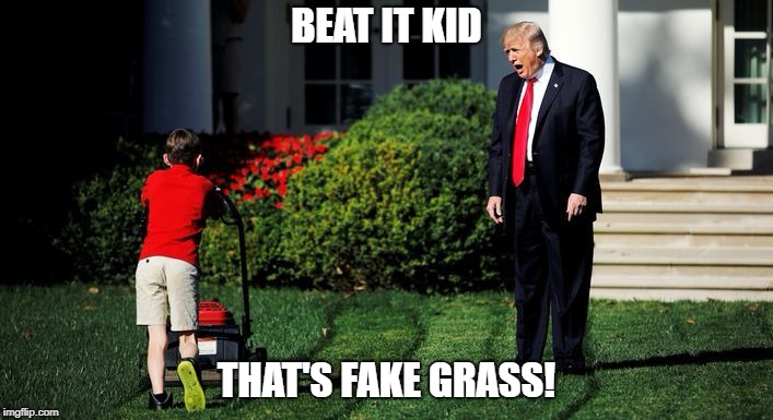 BEAT IT KID; THAT'S FAKE GRASS! | image tagged in mad trump | made w/ Imgflip meme maker