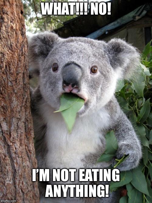 Surprised Koala | WHAT!!! NO! I’M NOT EATING ANYTHING! | image tagged in memes,surprised koala | made w/ Imgflip meme maker