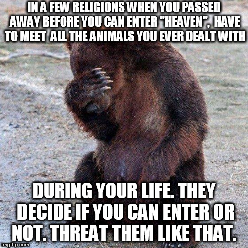Poor animals | IN A FEW RELIGIONS WHEN YOU PASSED AWAY BEFORE YOU CAN ENTER "HEAVEN",  HAVE TO MEET  ALL THE ANIMALS YOU EVER DEALT WITH; DURING YOUR LIFE. THEY DECIDE IF YOU CAN ENTER OR NOT. THREAT THEM LIKE THAT. | image tagged in poor animals | made w/ Imgflip meme maker