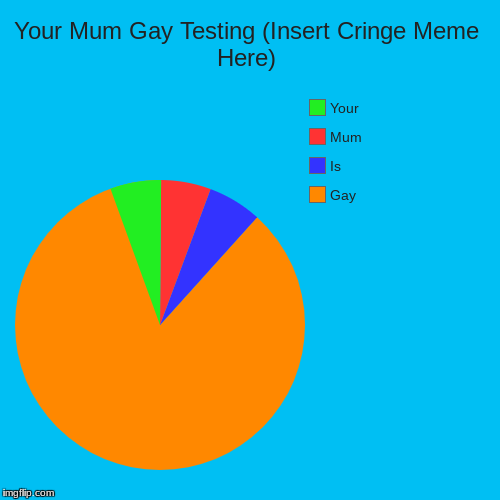 Your Mum Gay Testing (Insert Cringe Meme Here) | Gay, Is, Mum, Your | image tagged in funny,pie charts | made w/ Imgflip chart maker