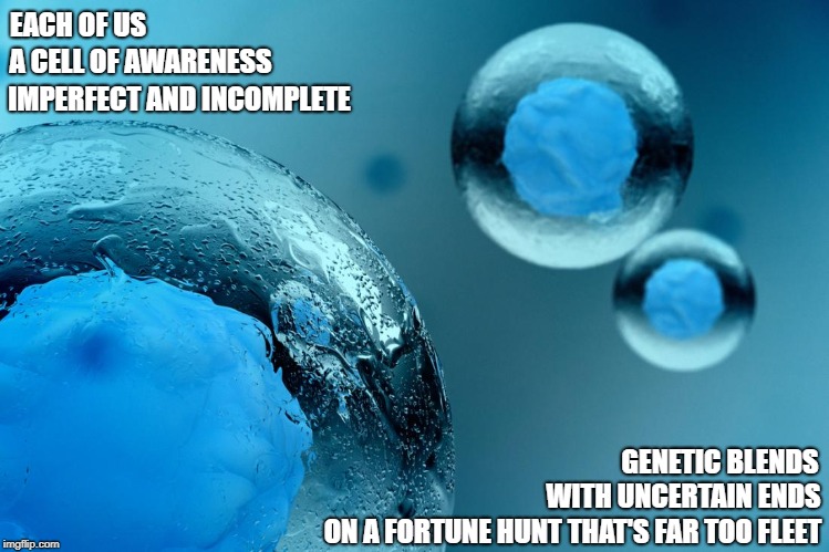 Each of Us | EACH OF US; A CELL OF AWARENESS; IMPERFECT AND INCOMPLETE; GENETIC BLENDS; WITH UNCERTAIN ENDS; ON A FORTUNE HUNT THAT'S FAR TOO FLEET | image tagged in memes | made w/ Imgflip meme maker