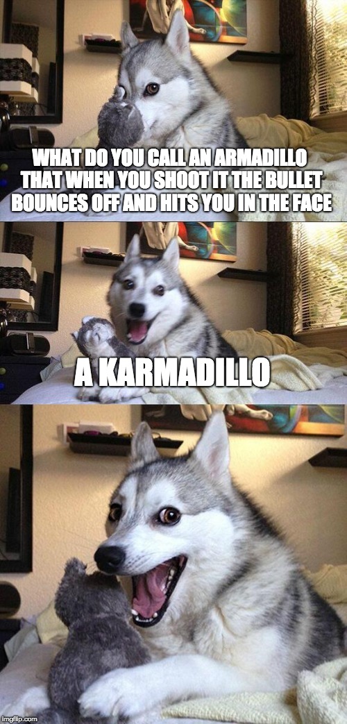 Bad Pun Dog | WHAT DO YOU CALL AN ARMADILLO THAT WHEN YOU SHOOT IT THE BULLET BOUNCES OFF AND HITS YOU IN THE FACE; A KARMADILLO | image tagged in memes,bad pun dog | made w/ Imgflip meme maker